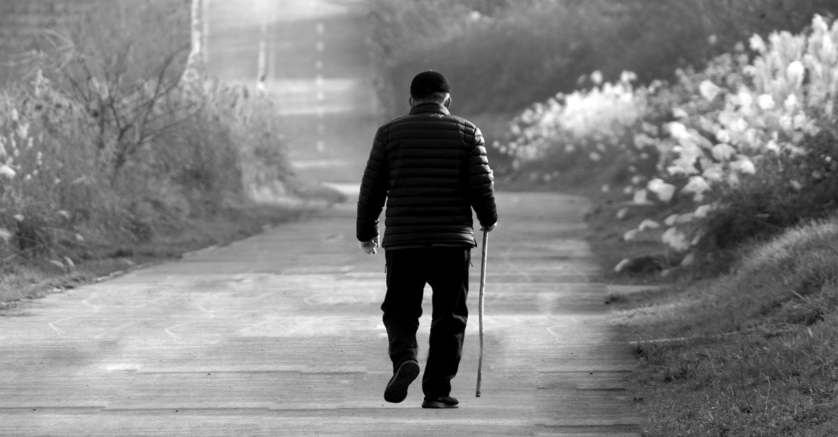 A solitary senior man walks with a cane on a peaceful path, surrounded by nature.